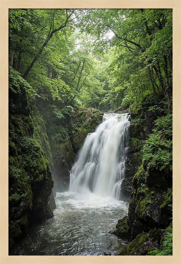 Quechee Gorge Waterfall Serenity