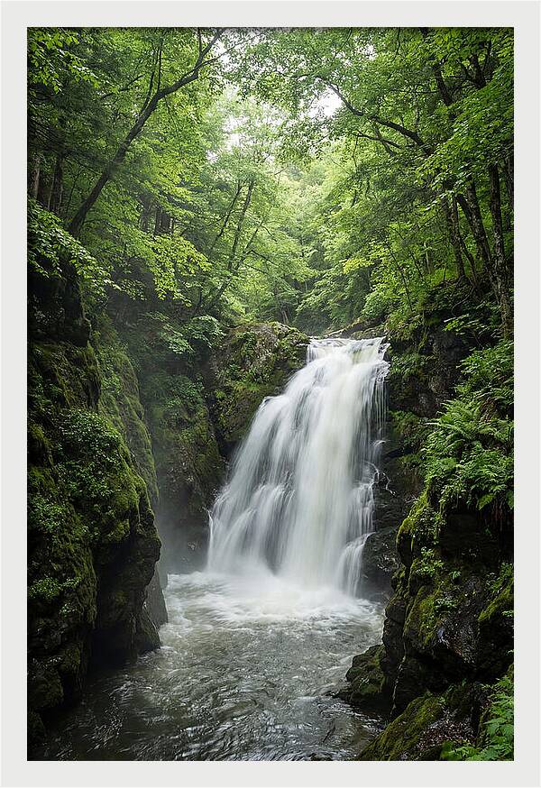 Quechee Gorge Waterfall Serenity