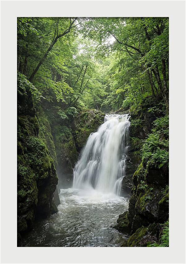 Quechee Gorge Waterfall Serenity