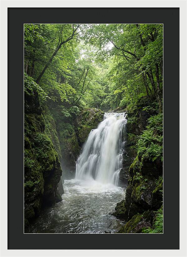 Quechee Gorge Waterfall Serenity