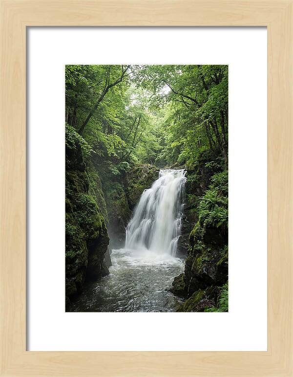 Quechee Gorge Waterfall Serenity
