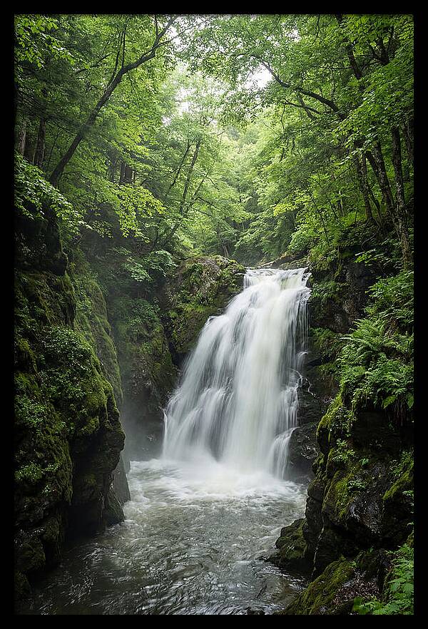 Quechee Gorge Waterfall Serenity