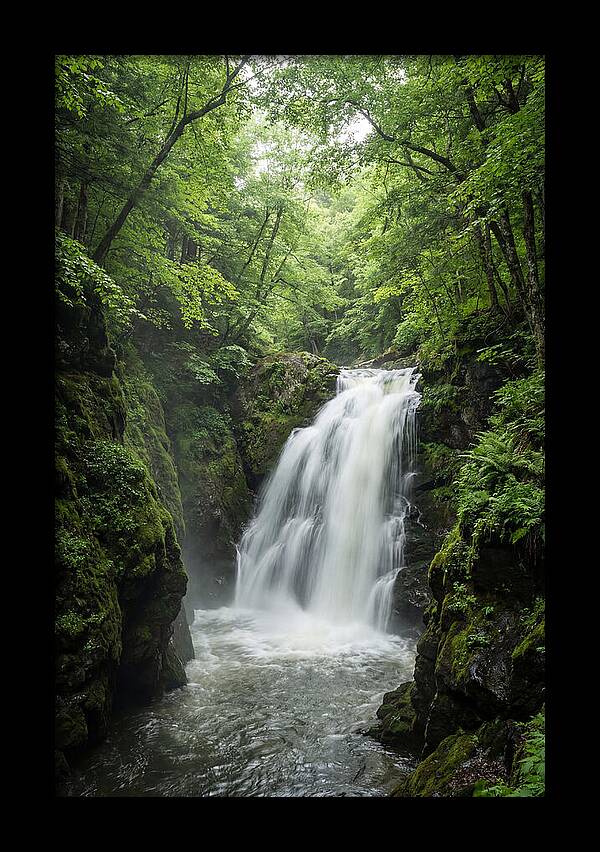 Quechee Gorge Waterfall Serenity
