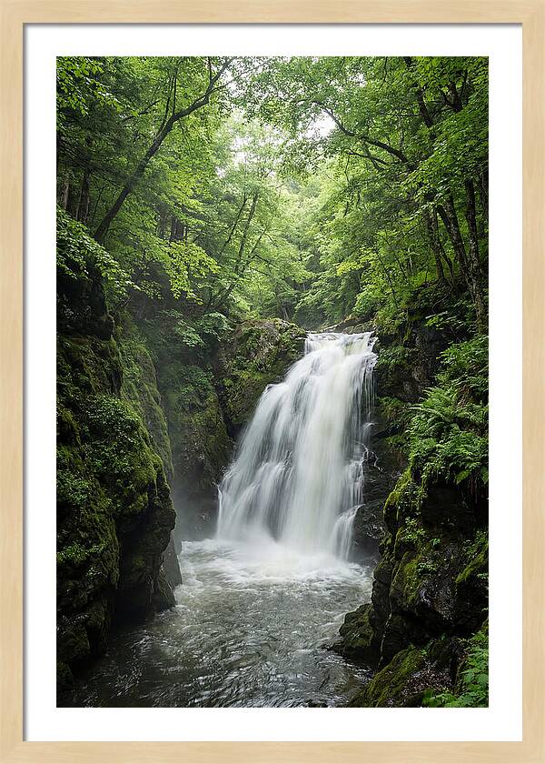 Quechee Gorge Waterfall Serenity