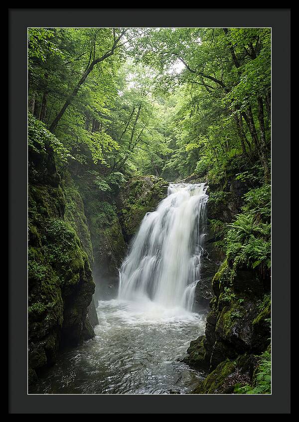 Quechee Gorge Waterfall Serenity