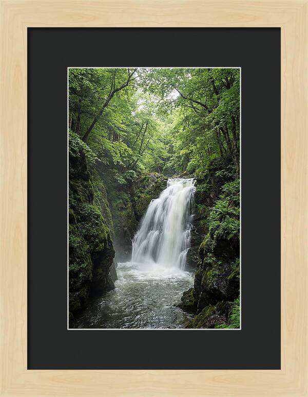 Quechee Gorge Waterfall Serenity