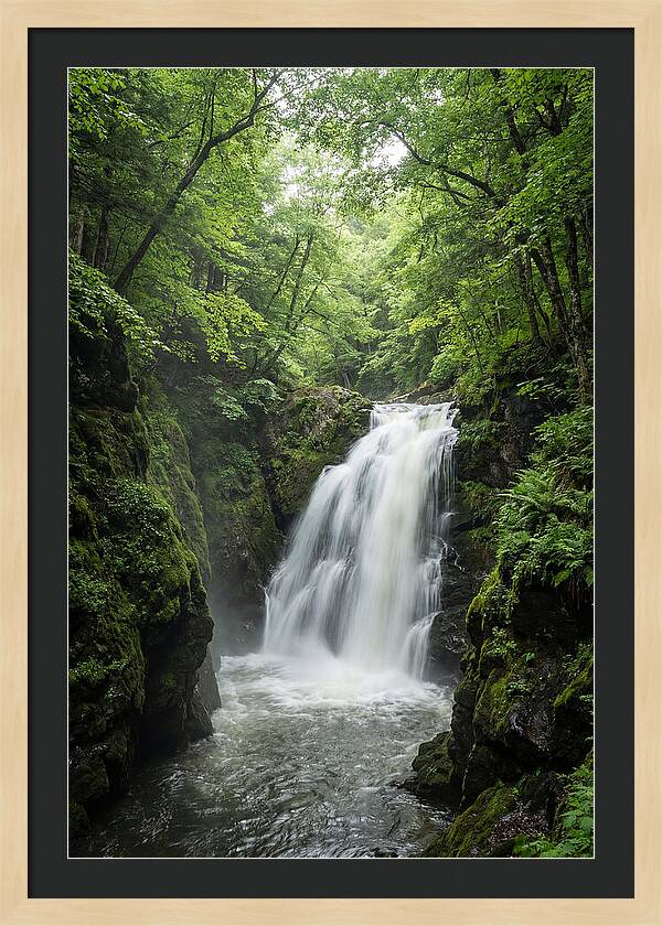 Quechee Gorge Waterfall Serenity