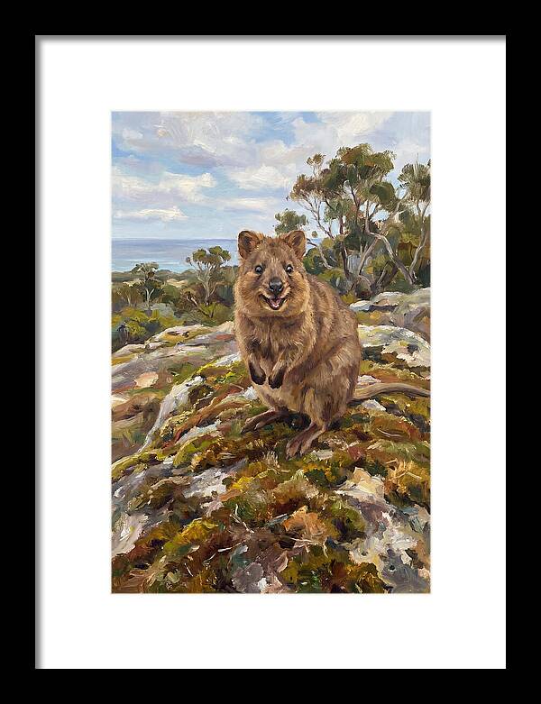 Quokka On A Rocky Outcrop