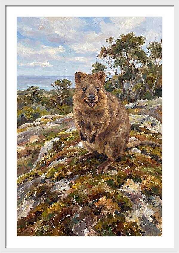 Quokka On A Rocky Outcrop