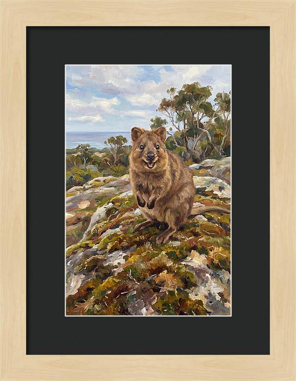 Quokka On A Rocky Outcrop