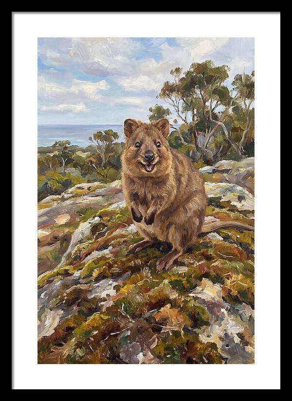 Quokka On A Rocky Outcrop