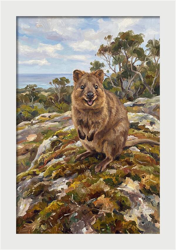 Quokka On A Rocky Outcrop