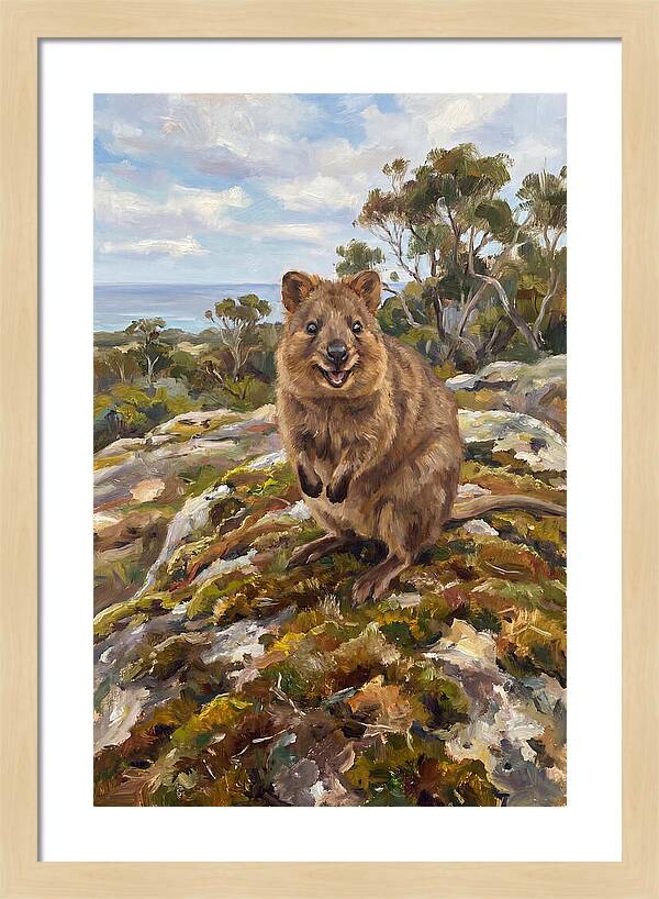 Quokka On A Rocky Outcrop