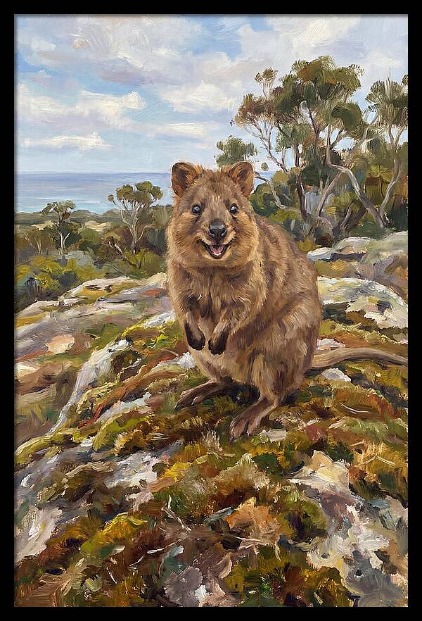 Quokka On A Rocky Outcrop