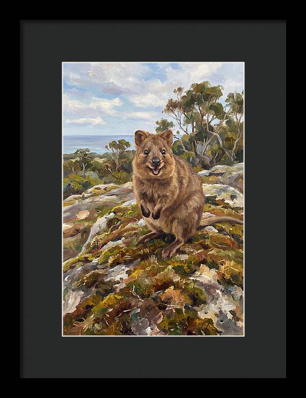 Quokka On A Rocky Outcrop