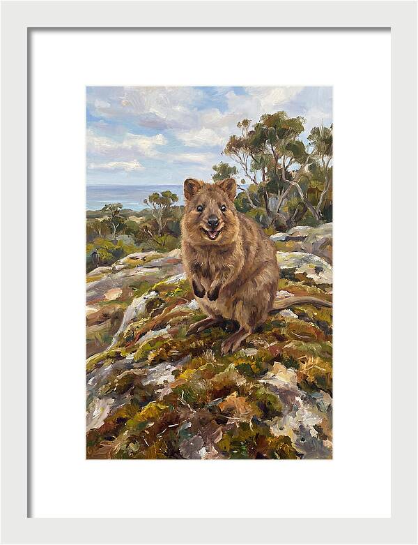 Quokka On A Rocky Outcrop