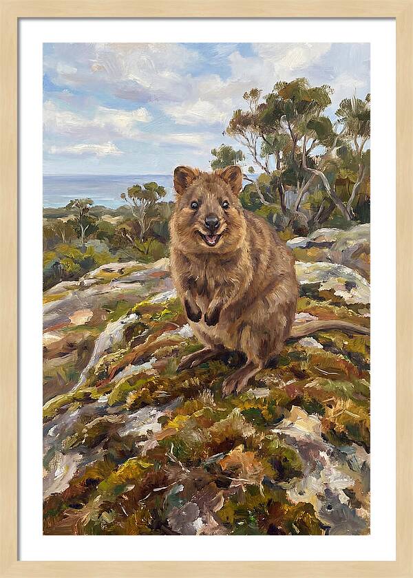 Quokka On A Rocky Outcrop