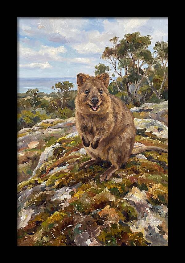 Quokka On A Rocky Outcrop