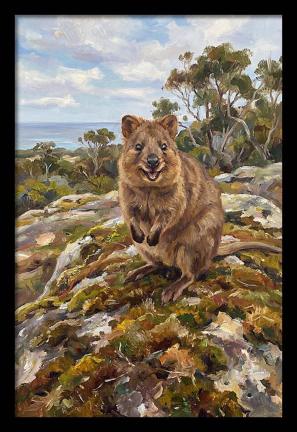 Quokka On A Rocky Outcrop