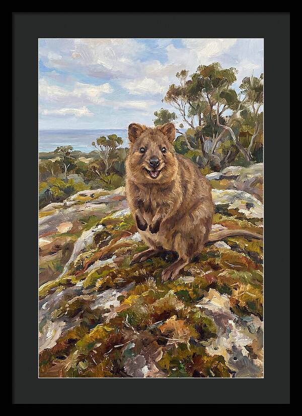 Quokka On A Rocky Outcrop