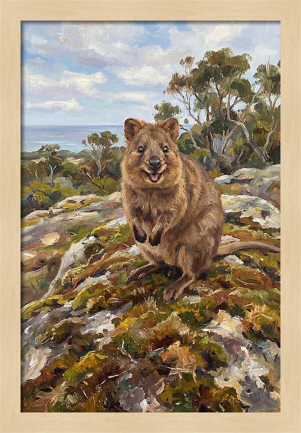Quokka On A Rocky Outcrop