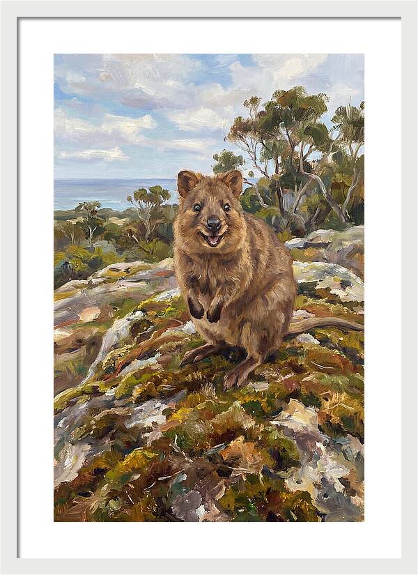 Quokka On A Rocky Outcrop
