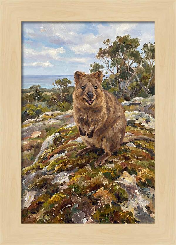 Quokka On A Rocky Outcrop