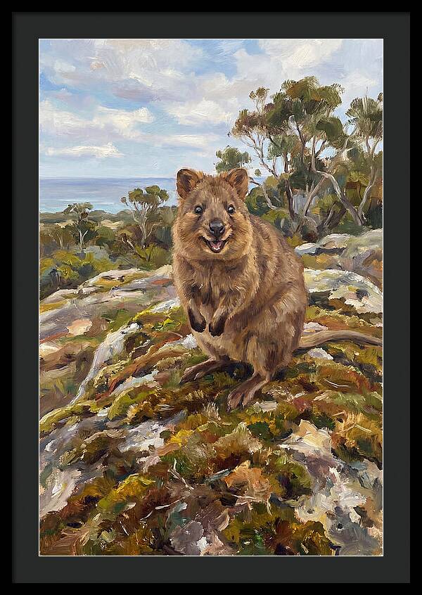 Quokka On A Rocky Outcrop