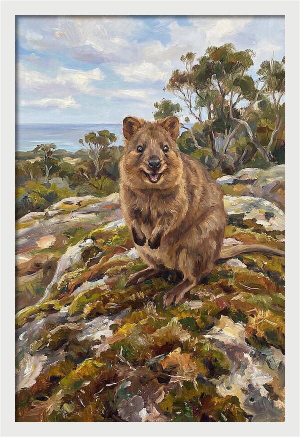Quokka On A Rocky Outcrop