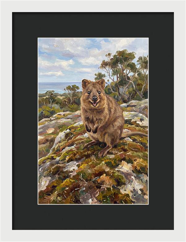 Quokka On A Rocky Outcrop