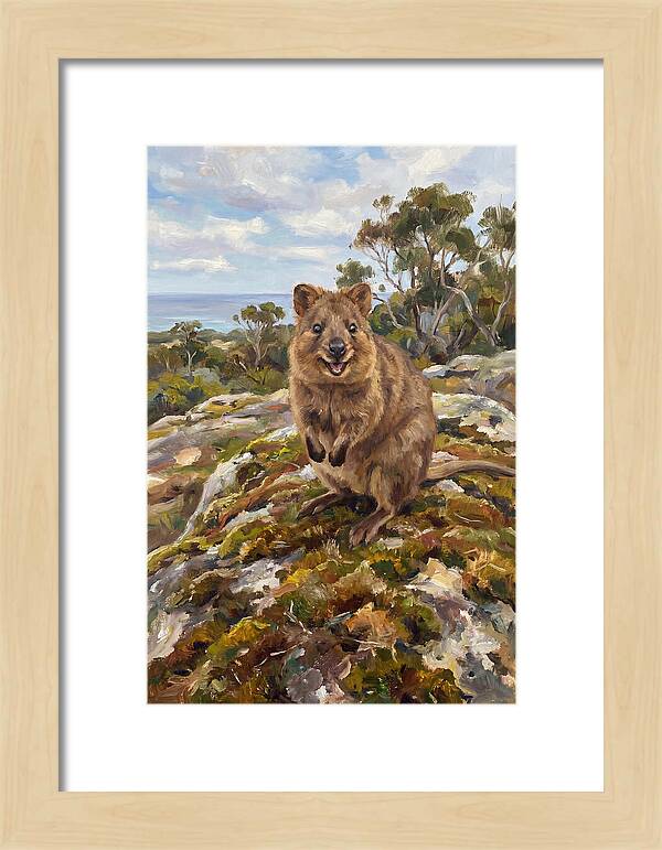 Quokka On A Rocky Outcrop