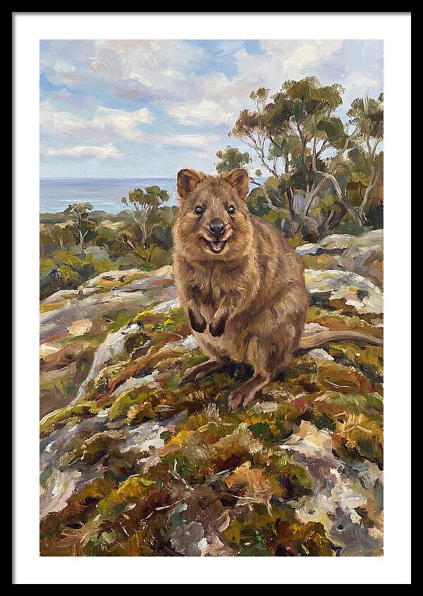Quokka On A Rocky Outcrop