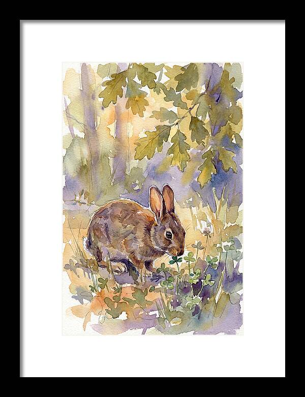 Rabbit Among Clover