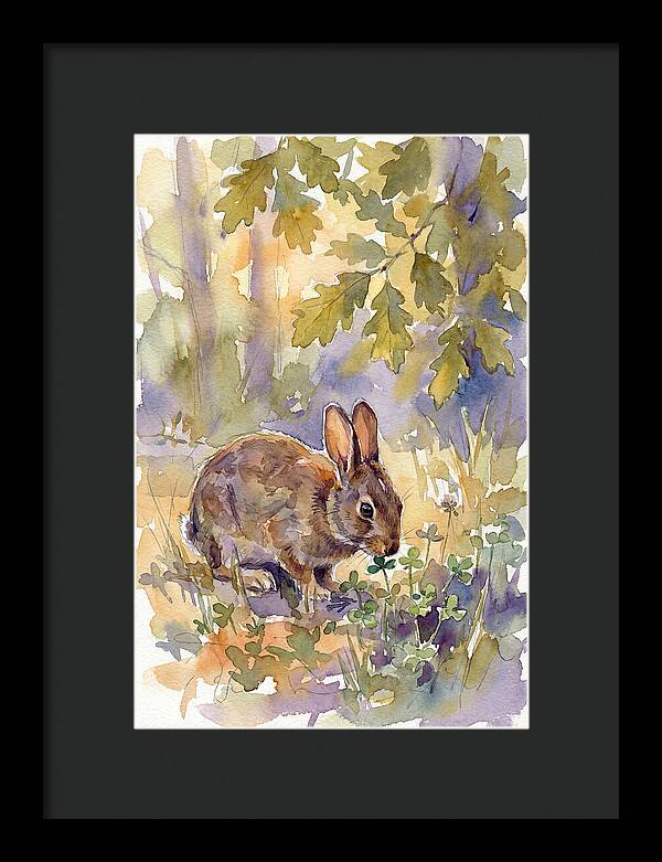 Rabbit Among Clover