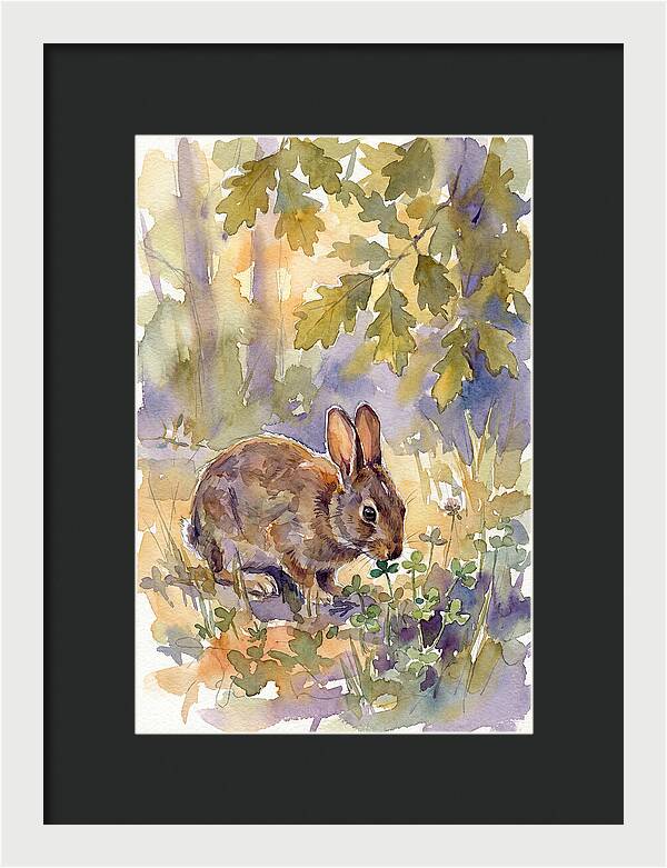 Rabbit Among Clover