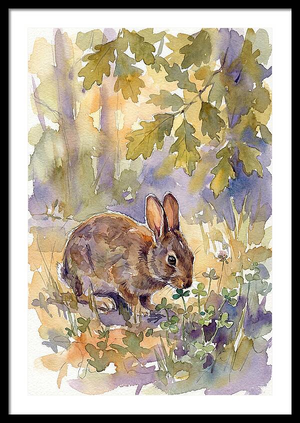 Rabbit Among Clover