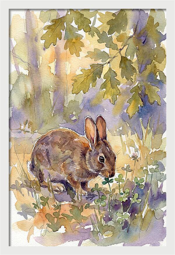 Rabbit Among Clover