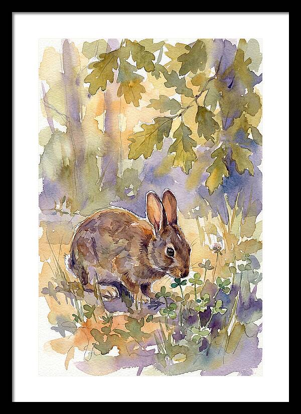 Rabbit Among Clover