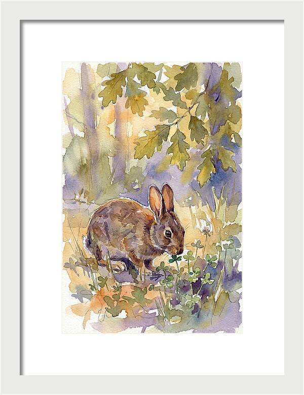 Rabbit Among Clover