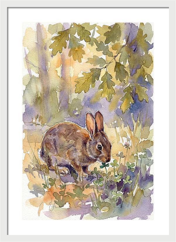Rabbit Among Clover