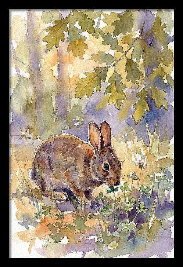 Rabbit Among Clover