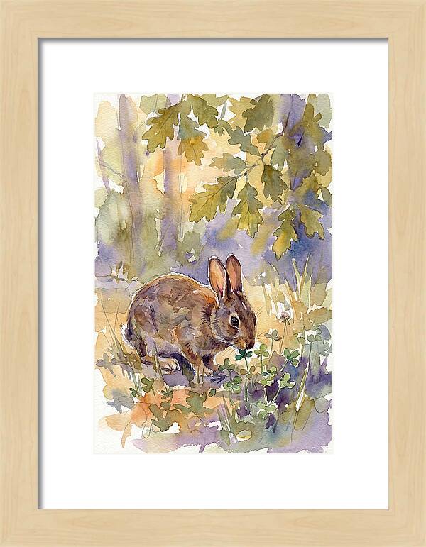 Rabbit Among Clover