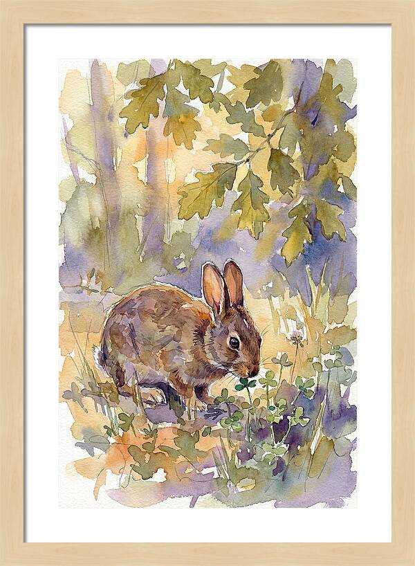 Rabbit Among Clover