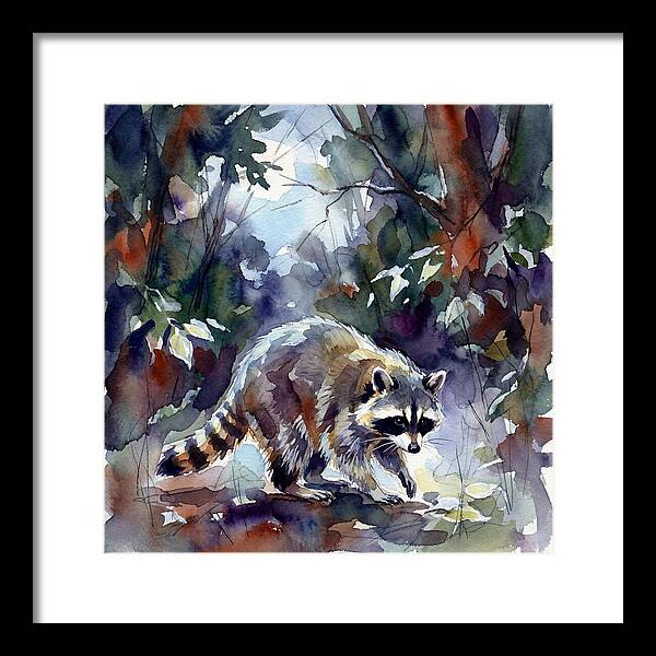 Raccoon In The Woods