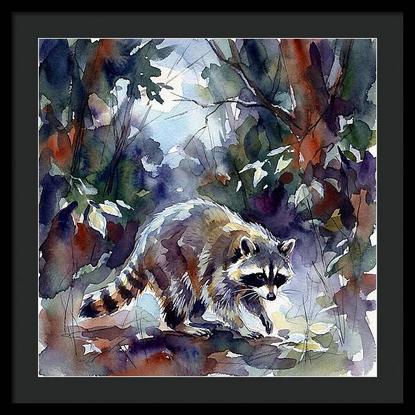 Raccoon In The Woods