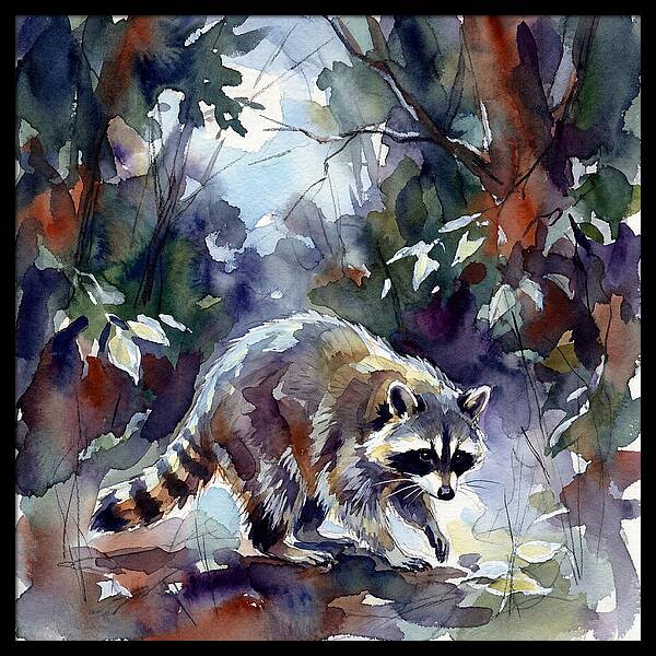 Raccoon In The Woods