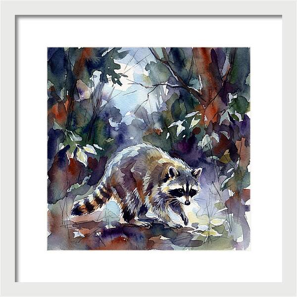 Raccoon In The Woods