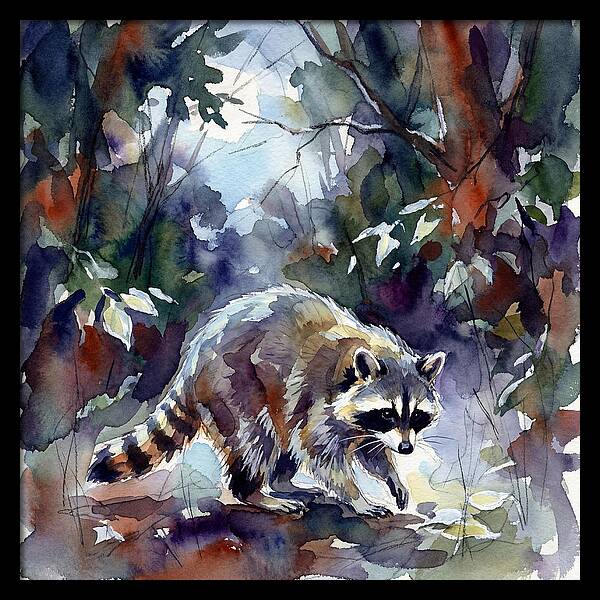 Raccoon In The Woods