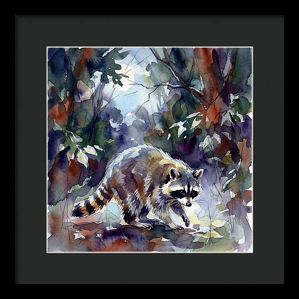Raccoon In The Woods