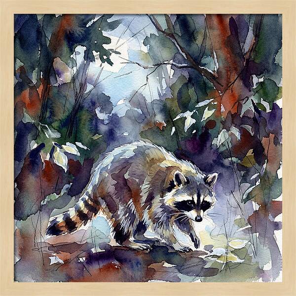 Raccoon In The Woods